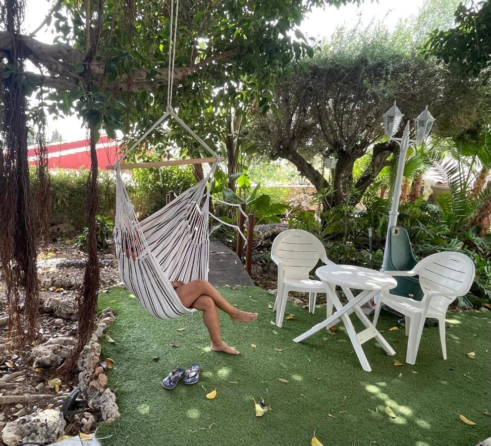 1 Habitacion Con Bano Privado Frente A La Piscina, Maximo Para 4 Personas, No Es La Casa Completa,1Cama Y 1 Sofa-Cama San Vicente Raspeig Eksteriør billede